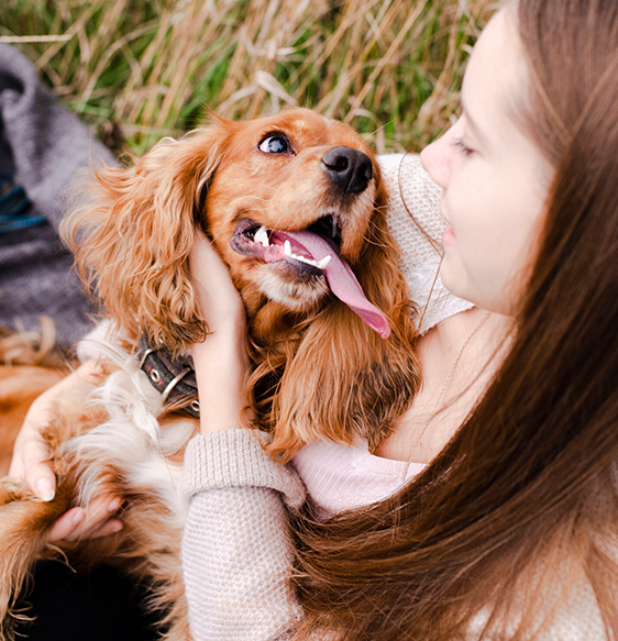 Jesteś w dobrym miejscu