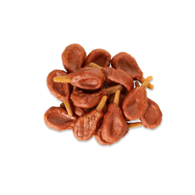 NEKKO Przysmak dla psa – Dental udko kacze 500g