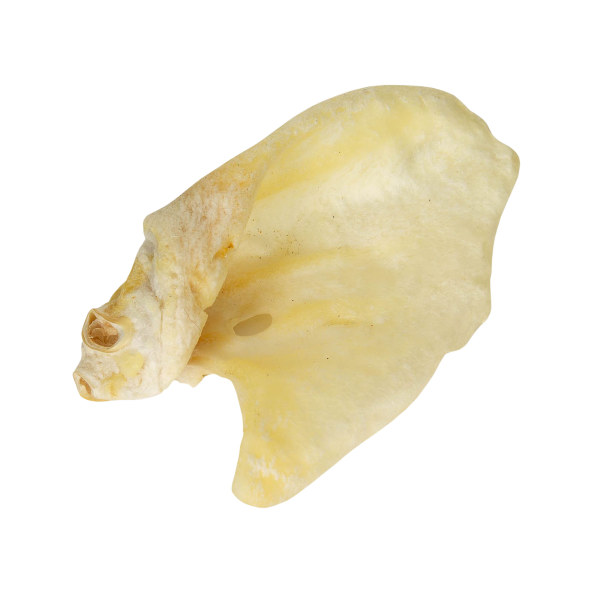 NEKKO NATURAL SNACK Ucho wieprzowe białe 1szt.